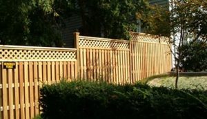 How to Liven Your Fence