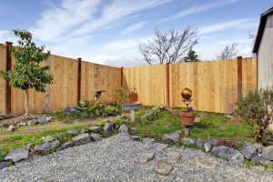 install a privacy fence for a backyard oasis