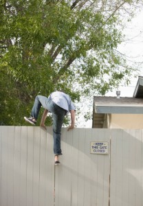 neighbor jumps fence