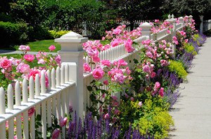 Residential Fence Mistakes