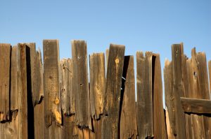 wooden fences