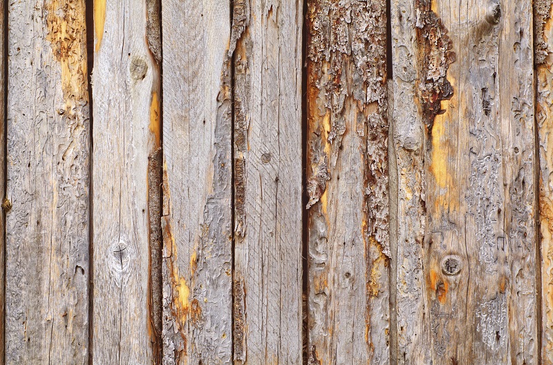 Should I Repair or Replace My Wood Fence? Hercules Fence Richmond