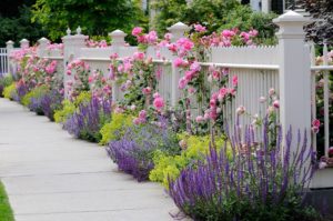 residential fence