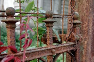 Fence Replacement Warning Signs: Is Your Fence Beyond Repair?