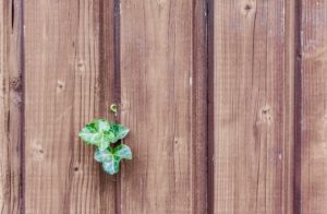 Wood Fence Maintenance Tips for Virginia Homeowners