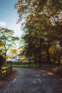 Hold Your Horses! Bring Rustic Charm to Your Home With a New Paddock Fence