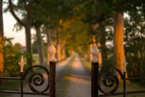 Restoring Your Wrought Iron Fence