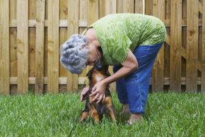 Install Dog Fencing to Protect Your Furry Friends
