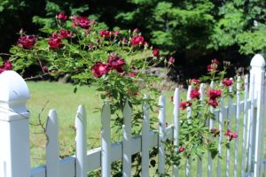 Getting HOA Approval for Residential Fence Installation