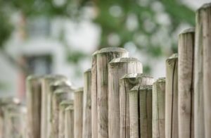 Summer Wood Fence Cleaning Tips: No Power Washer Needed!