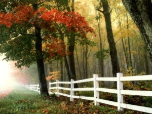 Getting Your Vinyl Fence Clean for Fall