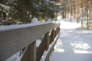 Protect Your Investment With Seasonal Fence Maintenance