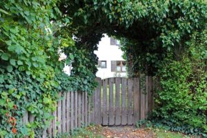 Maintenance Tips for Your Wood Fence Gate