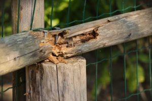 Protect Your Property with Fence Repair
