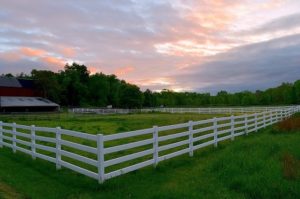 Split Rail Fences: Rustic Charm with Widespread Appeal