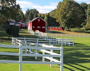 Professional Fence Installation