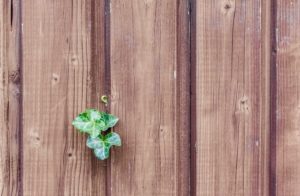 Wood Fence Maintenance: Tips for Proactive Homeowners