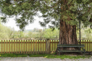 The Most Important Things To Think About When Selecting The Ideal Fence For Your Yard