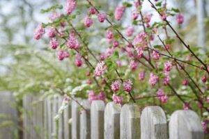 Fun Ways To Decorate Your Fence For Spring