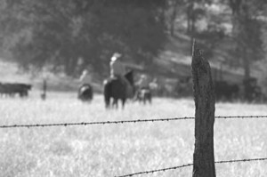 History of Barbed Wire