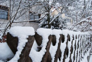 wood fence covered in snow