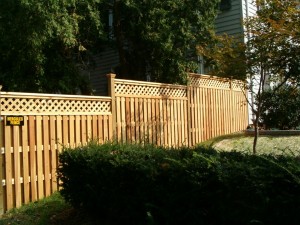 Privacy Fence