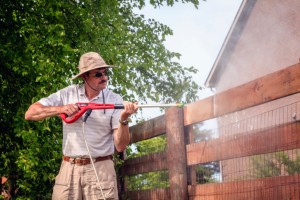 fence spring cleaning