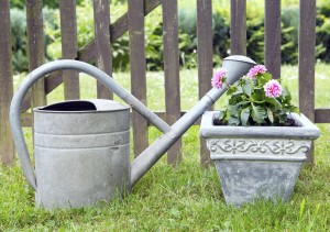 garden fence