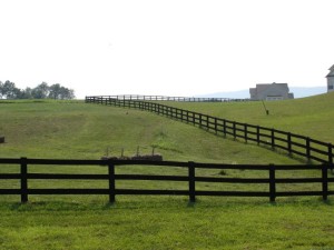 inspect pasture fence