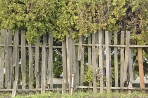 old fence