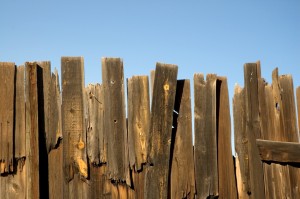 repair or replace wood fence