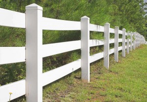 Vinyl Fence Cleaning